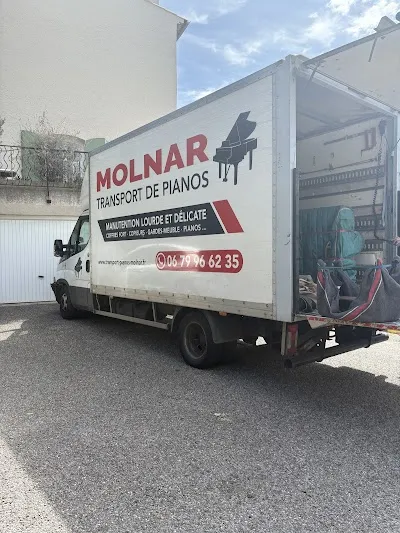 Molnar fils